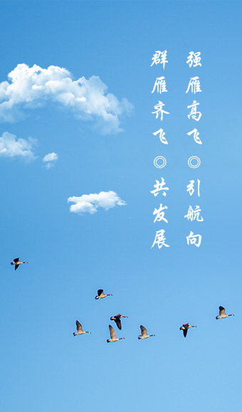 发展历程
